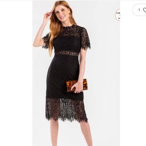 NWT Franchesca's Dark Purple Malorie Lace Midi XXS